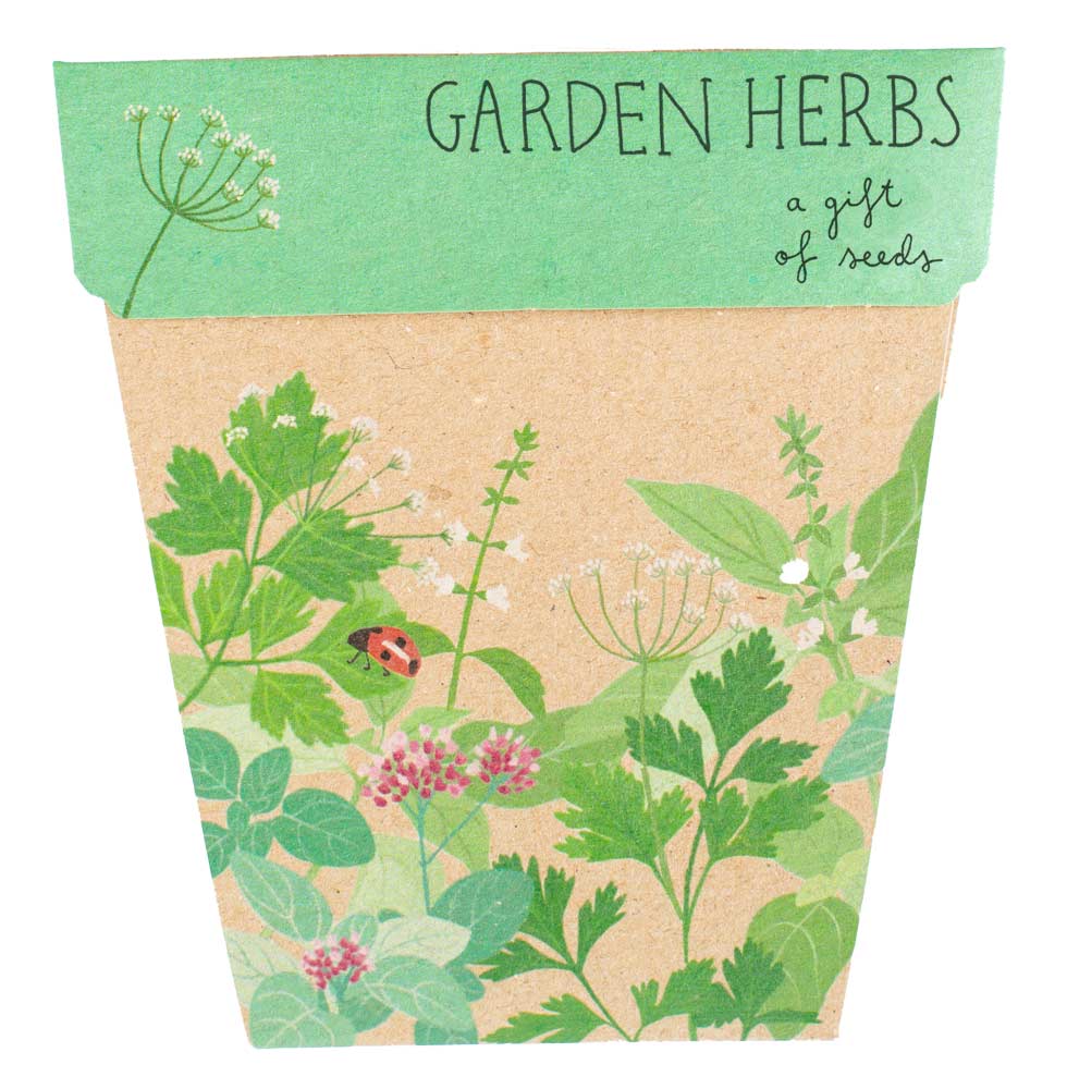 Garden Herbs Gift of Seeds