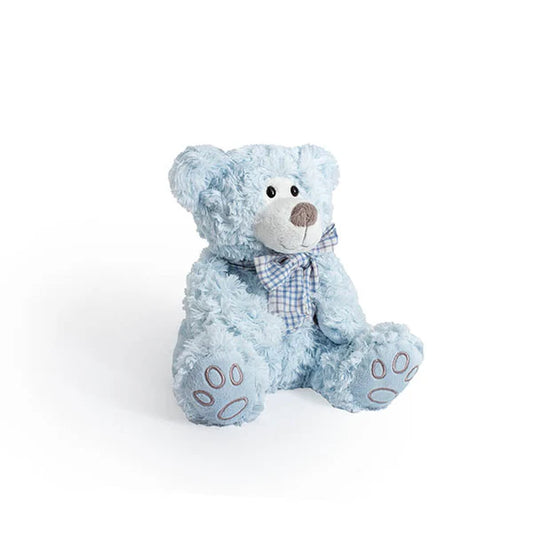 luke teddy bear baby blue